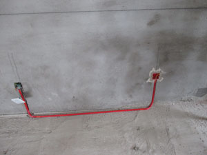 �����r��