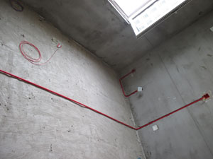 �����r��