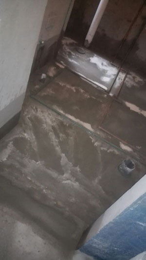 �Ǻ�����10