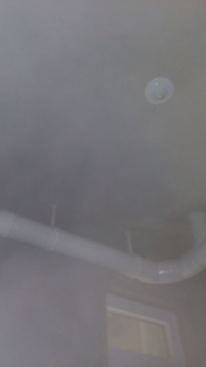 �Ǻ�����21