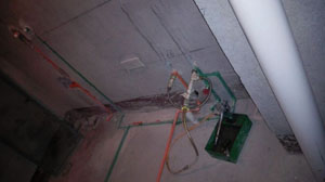 �Ǻ�����10