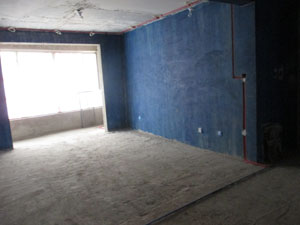 �Ǻ�����21