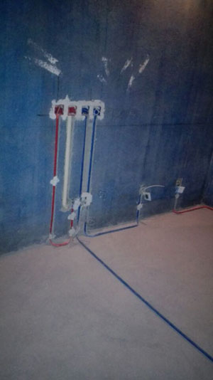 �Ǻ�����10