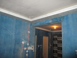 �Ǻ�����11