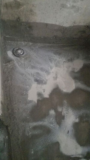 �Ǻ�����10