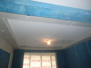 �Ǻ�����21