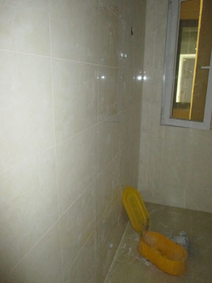 �Ǻ�����10