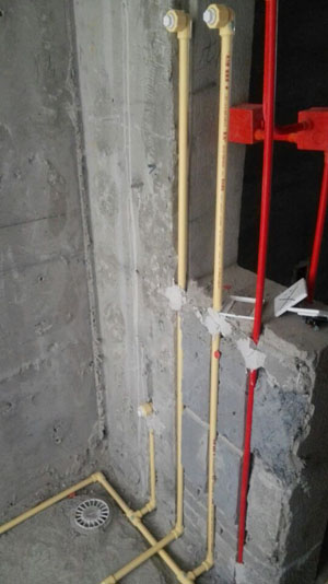 �Ǻ�����11