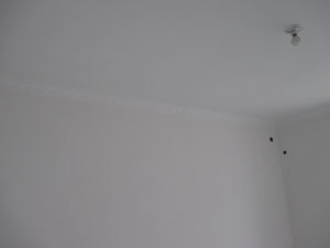 �Ǻ�����10