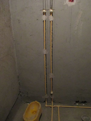 �Ǻ�����21