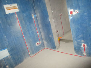 �Ǻ�����