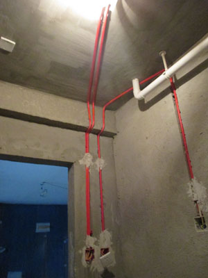 �Ǻ�����21