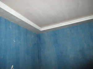 �Ǻ�����11