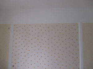 �Ǻ�����11