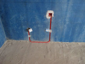 �Ǻ�����