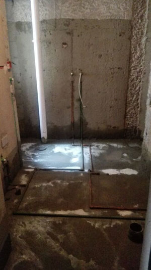 �Ǻ�����11