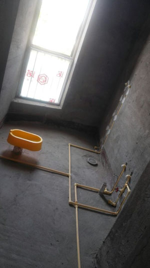 �Ǻ�����11