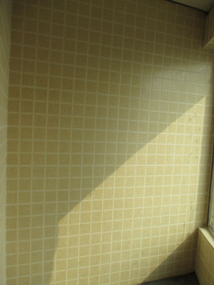 �Ǻ�����10