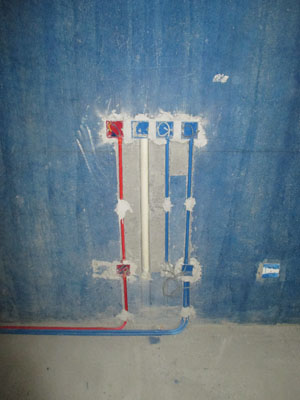 �Ǻ�����