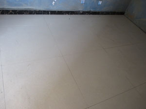 �Ǻ�����11