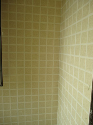 �Ǻ�����10