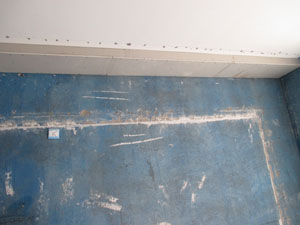 �Ǻ�����10