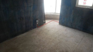 �Ǻ�����11