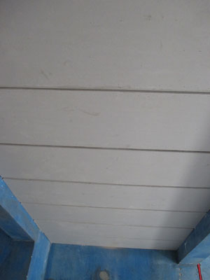 �Ǻ�����10