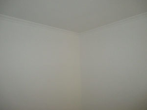 �Ǻ�����11