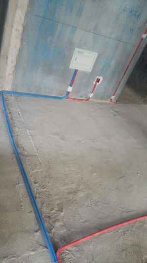 �Ǻ�����11