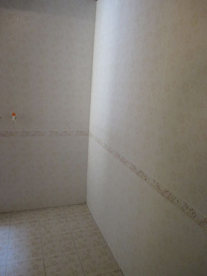 �Ǻ�����11