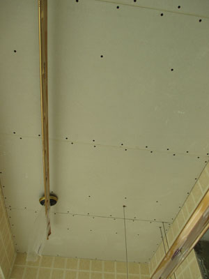 �Ǻ�����10