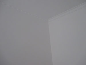 �Ǻ�����9