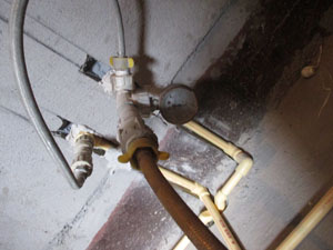 �Ǻ�����21