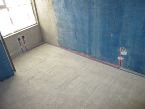 �Ǻ�����21