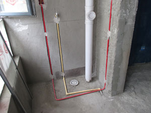 �Ǻ�����