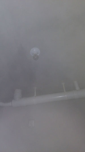 �Ǻ�����21